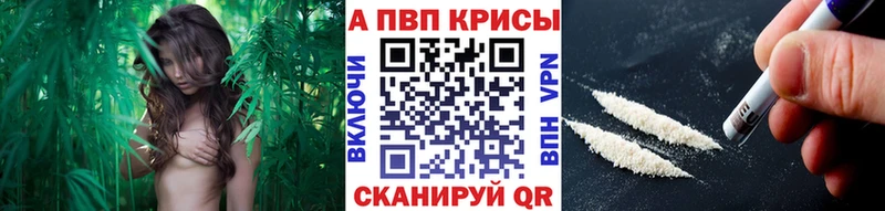 А ПВП VHQ  KRAKEN как войти  Мурино 