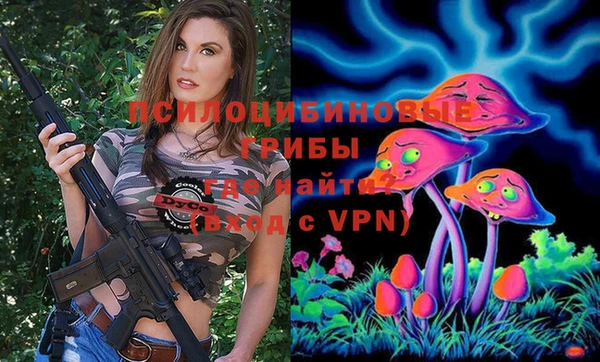 трава Болхов