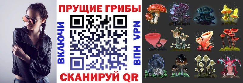купить наркотики сайты  Мурино  МЕГА ссылка  Галлюциногенные грибы Cubensis 
